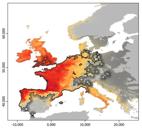Aire de répartition de Vespa velutina